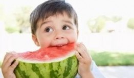 娱乐吃瓜小金鱼小说,小金鱼吃瓜记