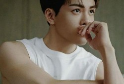 吃瓜娱乐圈田嘉瑞是谁