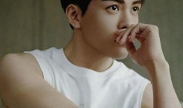 吃瓜娱乐圈田嘉瑞是谁