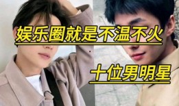 娱乐吃瓜酱男德的作品,揭秘男德作品中的趣味与深度