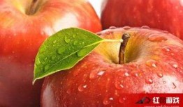 娱乐吃瓜酱苹果自带滤镜,娱乐吃瓜酱带你领略滤镜魔法魅力