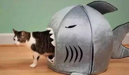 娱乐吃瓜酱改造猫窝,萌宠新居，趣味升级！