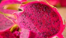 娱乐吃瓜火龙果视频,娱乐吃瓜盛宴，带你领略网络娱乐新潮流