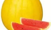 彩虹吃瓜娱乐,揭秘娱乐圈幕后故事