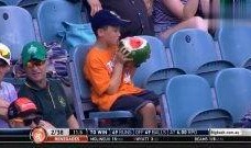 吃瓜群众奇葩娱乐,奇葩娱乐现象盘点