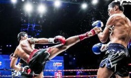 吃瓜娱乐拳击比赛直播,直播盛宴，吃瓜观众见证激情对决