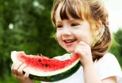 娱乐吃瓜小金鱼小说,小金鱼吃瓜记