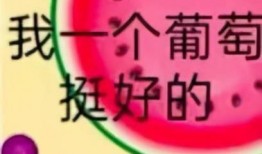 娱乐吃瓜酱不想开学文案,娱乐吃瓜酱的“不想开学”心声