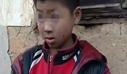 娱乐吃瓜酱76岁爷爷,揭秘娱乐圈背后的故事