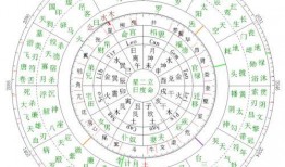 娱乐随拍吃瓜八卦图,随拍揭秘明星私生活八卦瞬间