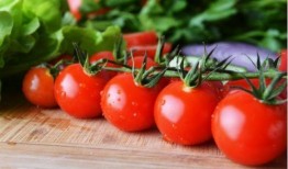 娱乐圈吃瓜番茄