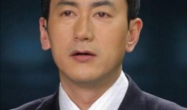 娱乐吃瓜君男主持是谁啊,探寻男主持背后的故事