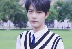 娱乐吃瓜君丁禹兮,娱乐吃瓜界的风云人物