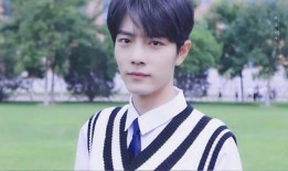 娱乐吃瓜君丁禹兮,娱乐吃瓜界的风云人物