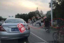 温州某起娱乐事件引发大众吃瓜,全民吃瓜，揭秘幕后真相