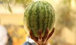 最近娱乐圈的吃瓜,最新“瓜”事盘点，揭秘明星幕后故事