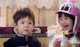 吃瓜星娱乐小鬼,揭秘娱乐圈背后的神秘故事