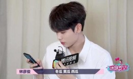 娱乐吃瓜君林彦俊,娱乐吃瓜界的风云人物