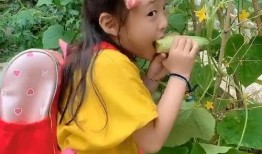 娱乐吃瓜少女妈妈视频,揭秘明星育儿日常