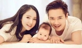 娱乐吃瓜打人事件,明星打人风波引发热议