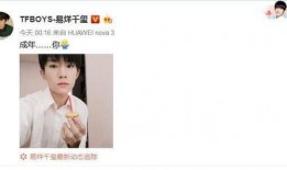 娱乐圈吃瓜大鹅微博,揭秘明星幕后故事，带你领略娱乐圈真实一面