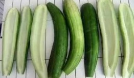 娱乐吃瓜酱江浙沪,揭秘娱乐圈幕后故事