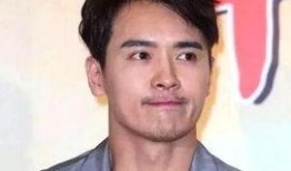 娱乐圈吃瓜高云翔,真相与谣言的交织