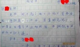 娱乐吃瓜酱检讨书