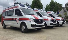 娱乐吃瓜酱最快救护车,揭秘最快救护车背后的故事