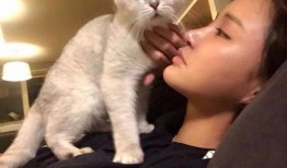 娱乐吃瓜酱大猫咪,揭秘娱乐圈背后的喵星人故事