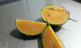 彩虹吃瓜娱乐,揭秘娱乐圈幕后故事