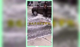 娱乐吃瓜鱼塘,吃瓜鱼塘里的那些事儿