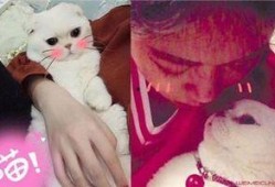 娱乐吃瓜君和刘二豆,揭秘娱乐圈背后的趣味故事