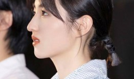 娱乐吃瓜张子枫视频大全,娱乐圈小花的趣味日常