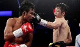 吃瓜娱乐拳击比赛直播,直播盛宴，吃瓜观众见证激情对决