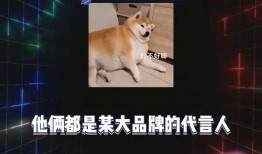 吃瓜今日娱乐爆料,娱乐圈最新热点事件大盘点