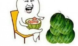 吃瓜娱乐圈动画视频,娱乐圈动画视频趣味盘点