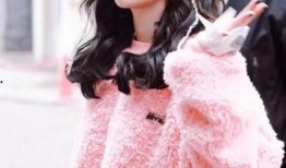 娱乐吃瓜酱卫衣,时尚与趣味并存