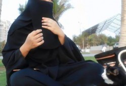 娱乐吃瓜君泰国,揭秘“吃瓜君”泰国版幕后故事